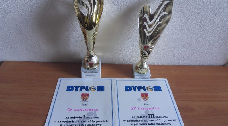 Kolejne sukcesy sportowe naszych uczniów